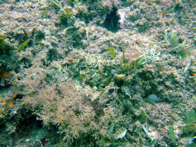 dscf0461.jpg