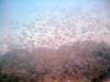 dscf0463_small.jpg