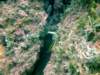 dscf0464_small.jpg