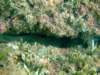 dscf0465_small.jpg