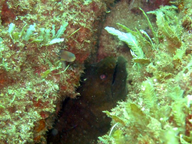 dscf0466.jpg