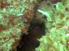 dscf0466_small.jpg