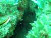 dscf0467_small.jpg