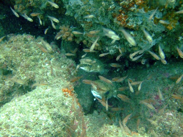 dscf0470.jpg
