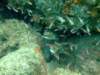 dscf0470_small.jpg