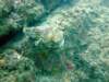 dscf0475_small.jpg