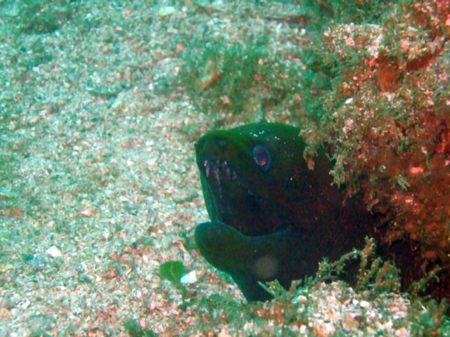 dscf0480.jpg
