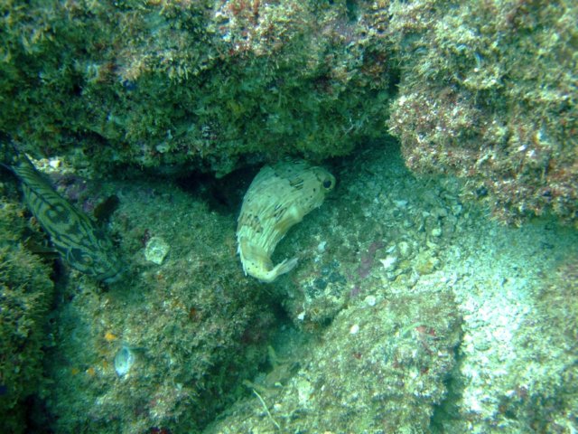 dscf0490.jpg