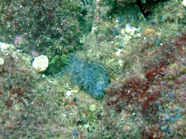 dscf0491.jpg