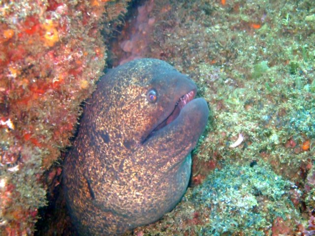 dscf0493.jpg