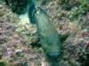 dscf0497_small.jpg