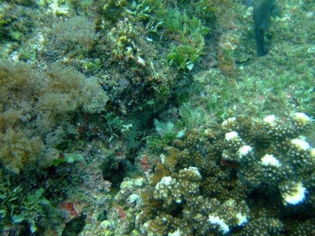 dscf0526.jpg