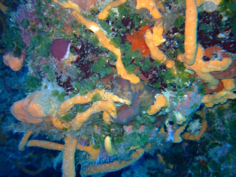 dscf7464.jpg