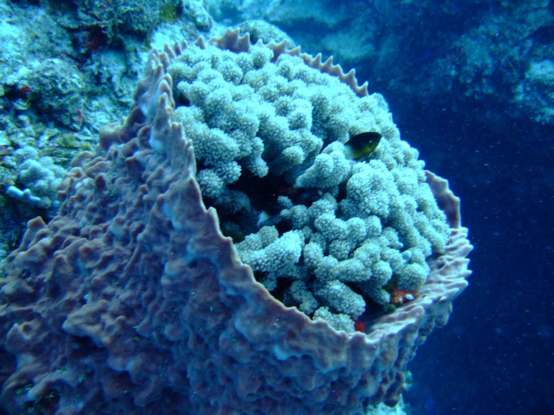 dscf7493.jpg
