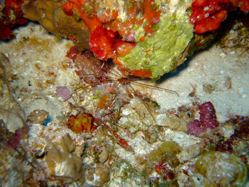 dscf7494.jpg
