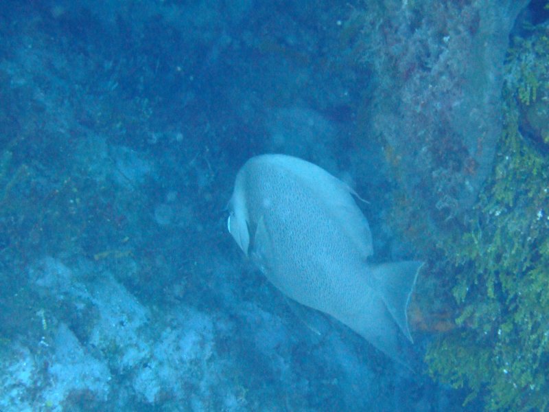 dscf7510.jpg