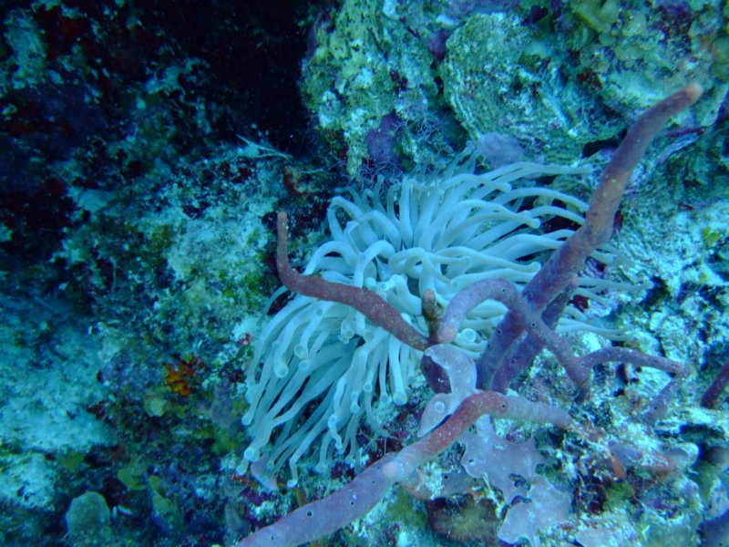dscf7512.jpg