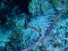 dscf7512_small.jpg