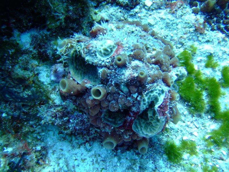 dscf7517.jpg
