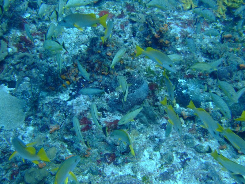 dscf7537.jpg