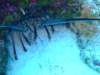 dscf7552_small.jpg