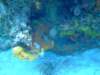 dscf7559_small.jpg