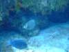 dscf7560_small.jpg