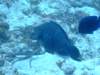 dscf7564_small.jpg