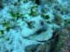 dscf7566_small.jpg
