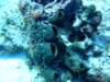 dscf7567_small.jpg