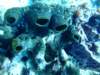 dscf7568_small.jpg