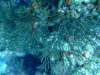 dscf7569_small.jpg