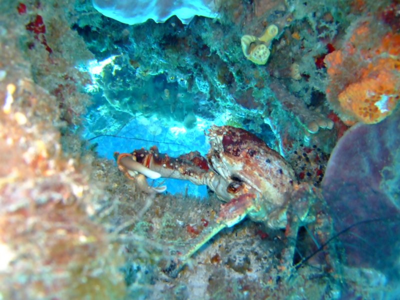 dscf7570.jpg