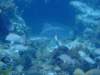 dscf7571_small.jpg