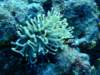dscf7573_small.jpg