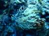 dscf7575_small.jpg