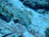 dscf7576_small.jpg