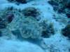 dscf7577_small.jpg
