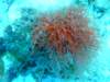 dscf7579_small.jpg