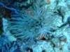 dscf7580_small.jpg