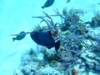 dscf7582_small.jpg