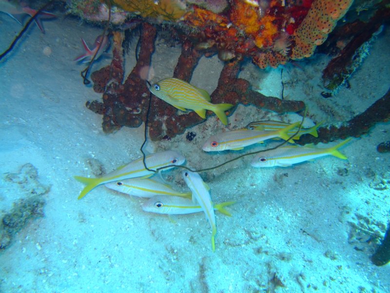 dscf6755.jpg