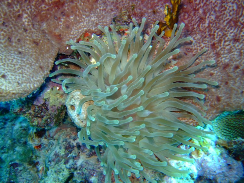 dscf6756.jpg
