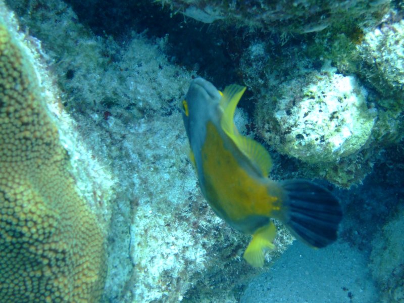 dscf6761.jpg