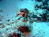 dscf6771_small.jpg