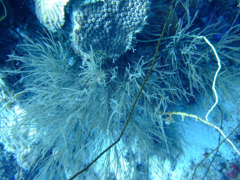 dscf6772.jpg