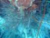 dscf6773_small.jpg