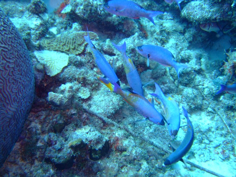 dscf6778.jpg