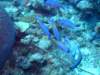 dscf6778_small.jpg