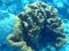 dscf6780_small.jpg